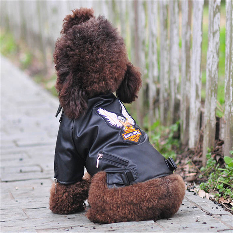 Leather Vest