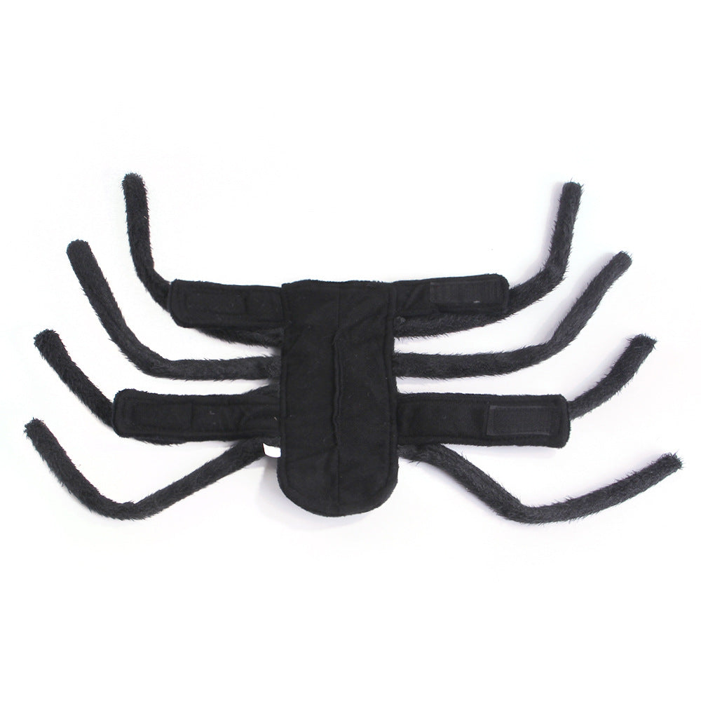 Spider Halloween Costume