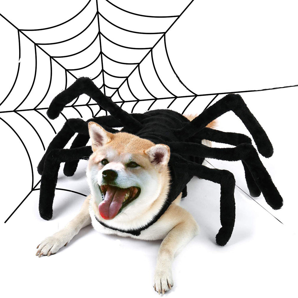 Spider Halloween Costume