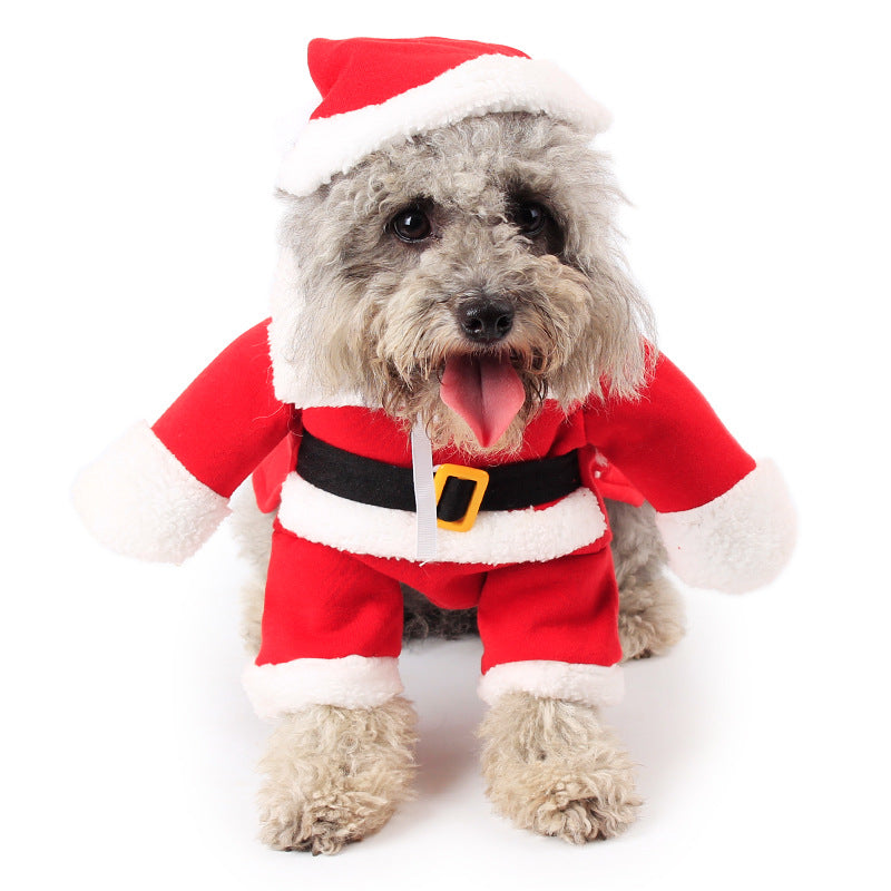 Christmas Costume