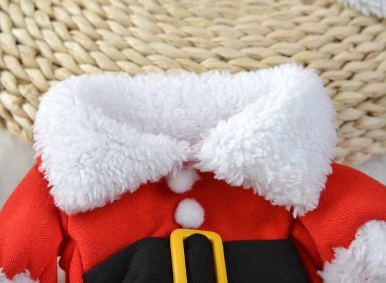 Christmas Costume