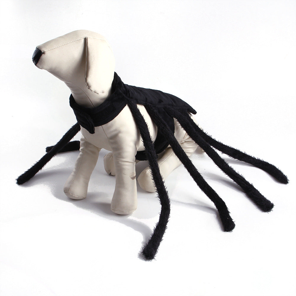 Spider Halloween Costume