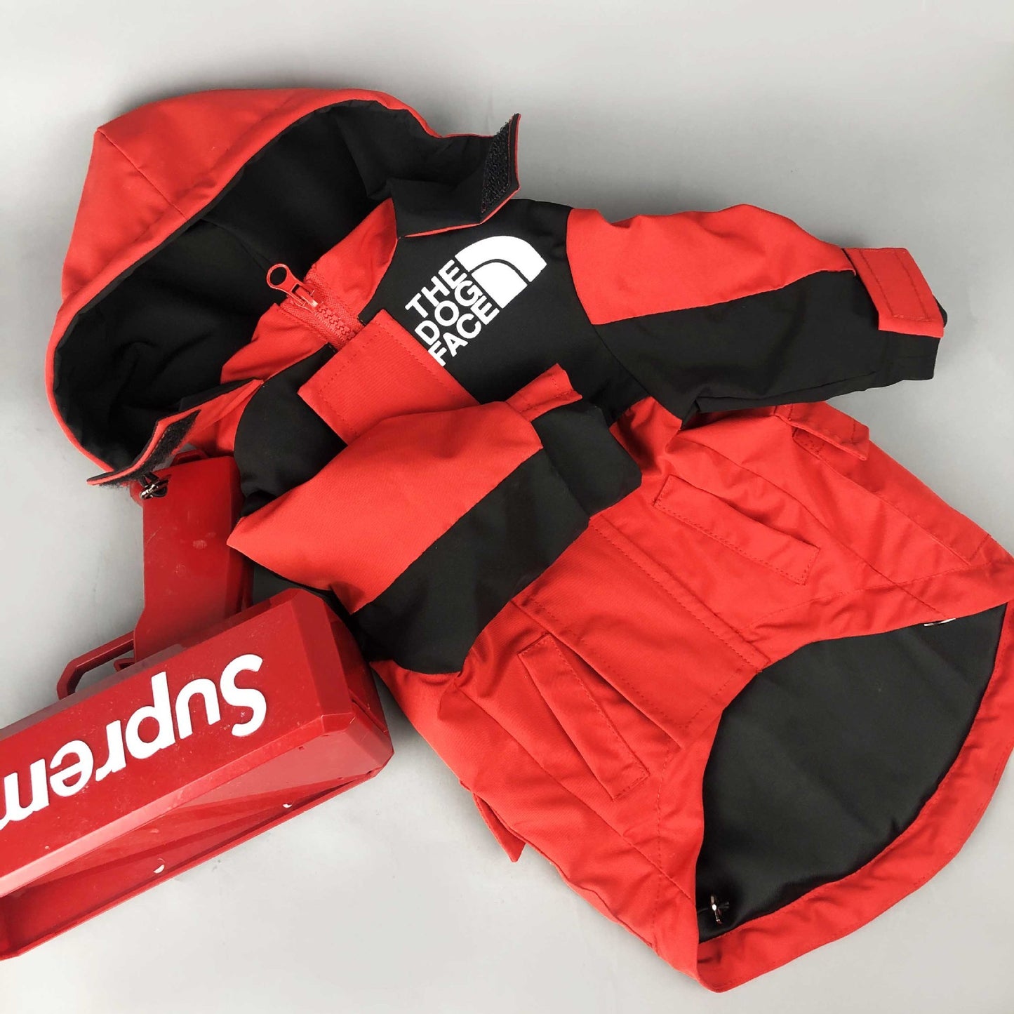 DogFace winter Jacket