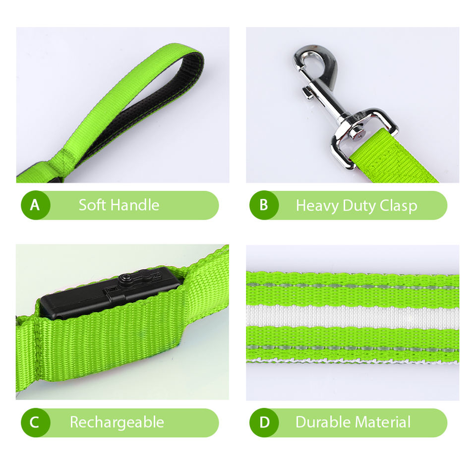 LED Leash and Collar