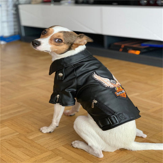 Leather Vest