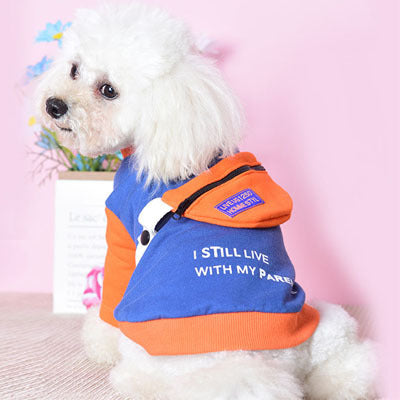 Two-legged Sweater with Detachable School Bag