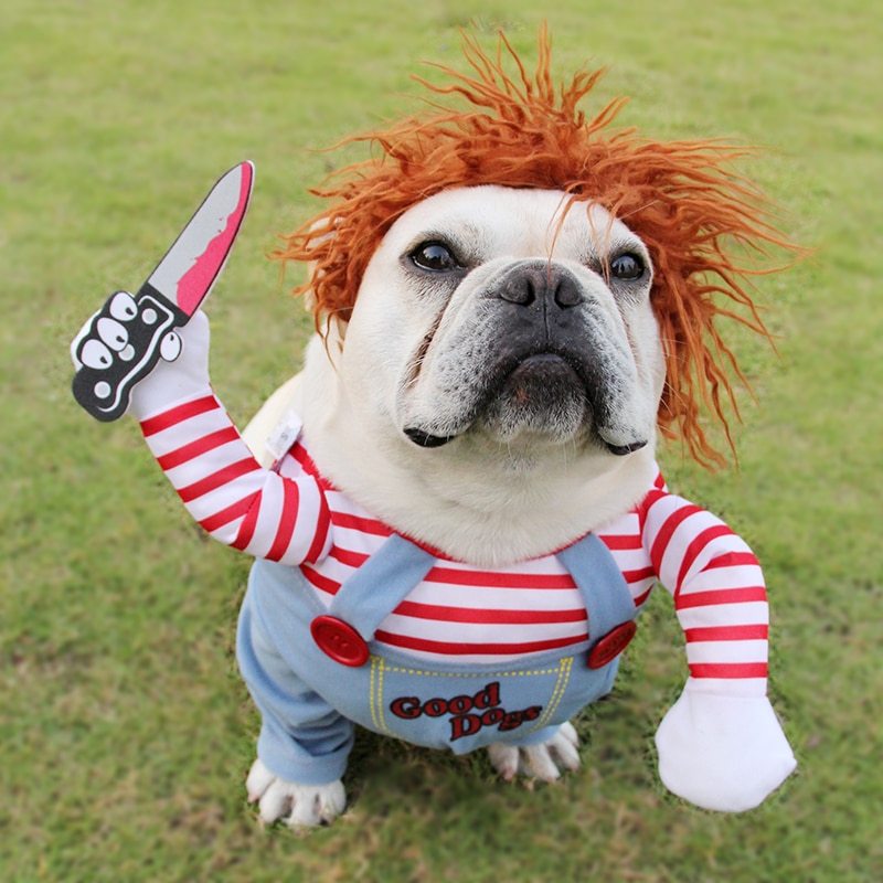 Chuck Boy Doll - Good Dogs