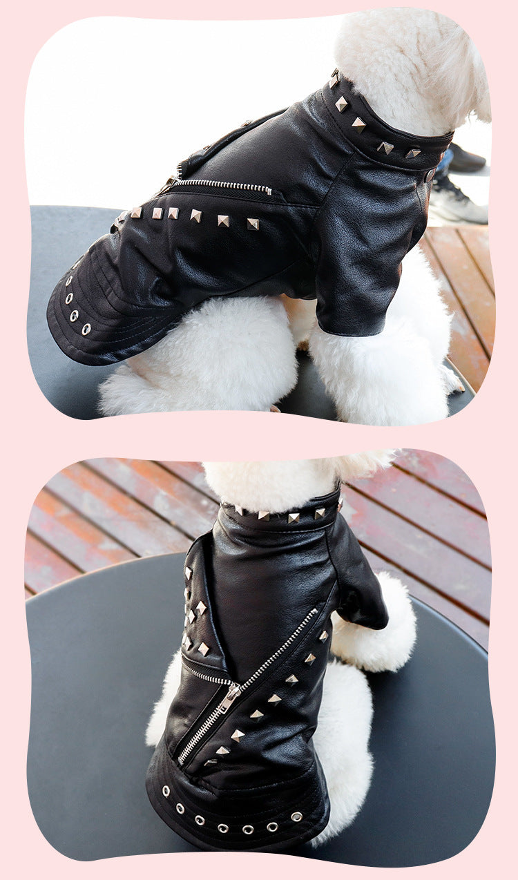 Faux Leather Studded Jacket