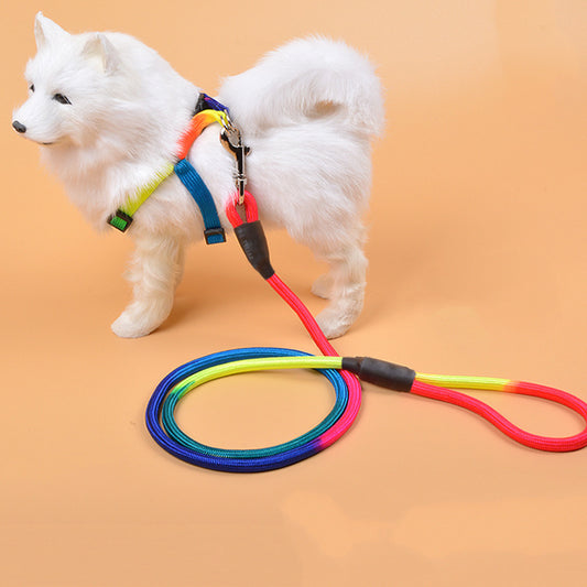 Colorful Nylon  Leash
