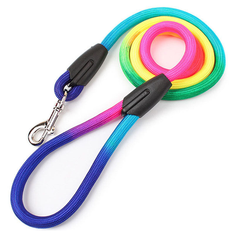 Colorful Nylon  Leash