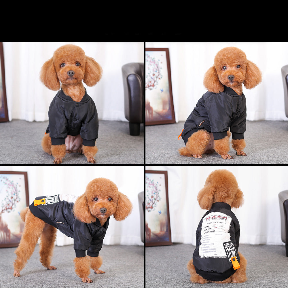 Sporty Speed Jacket
