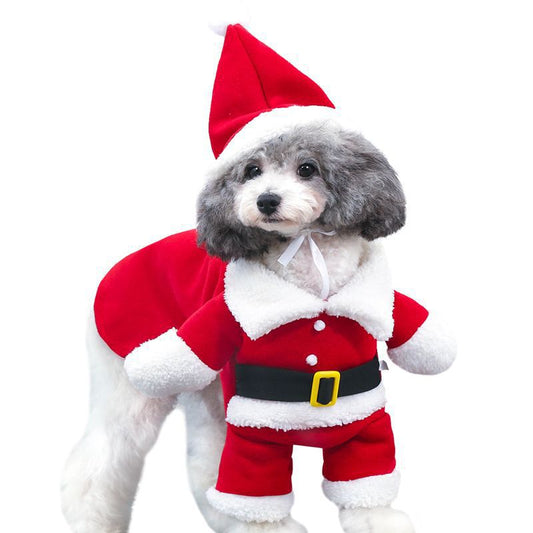 Christmas Costume