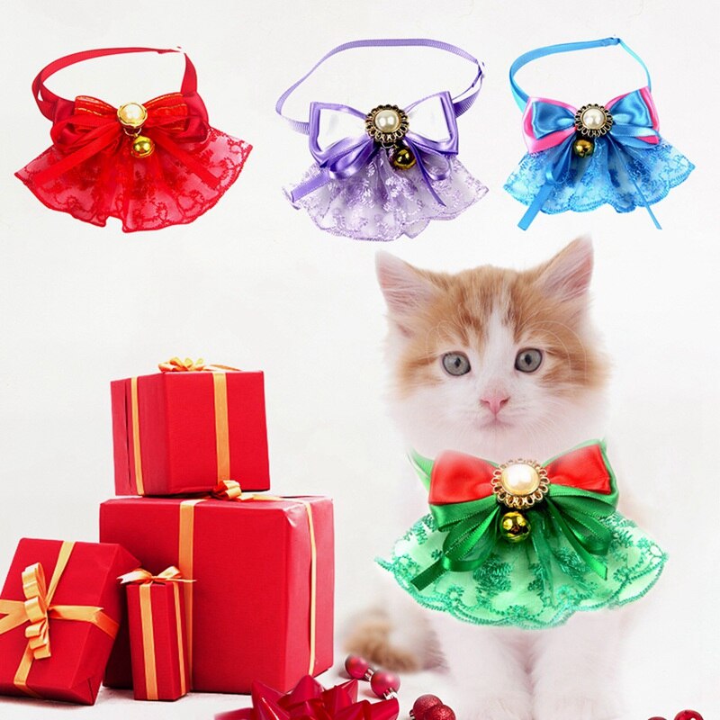 Fancy occasion collar