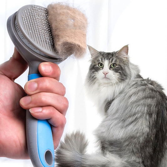 Pet needle brush
