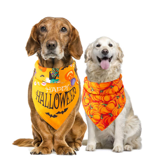 Halloween Bandana