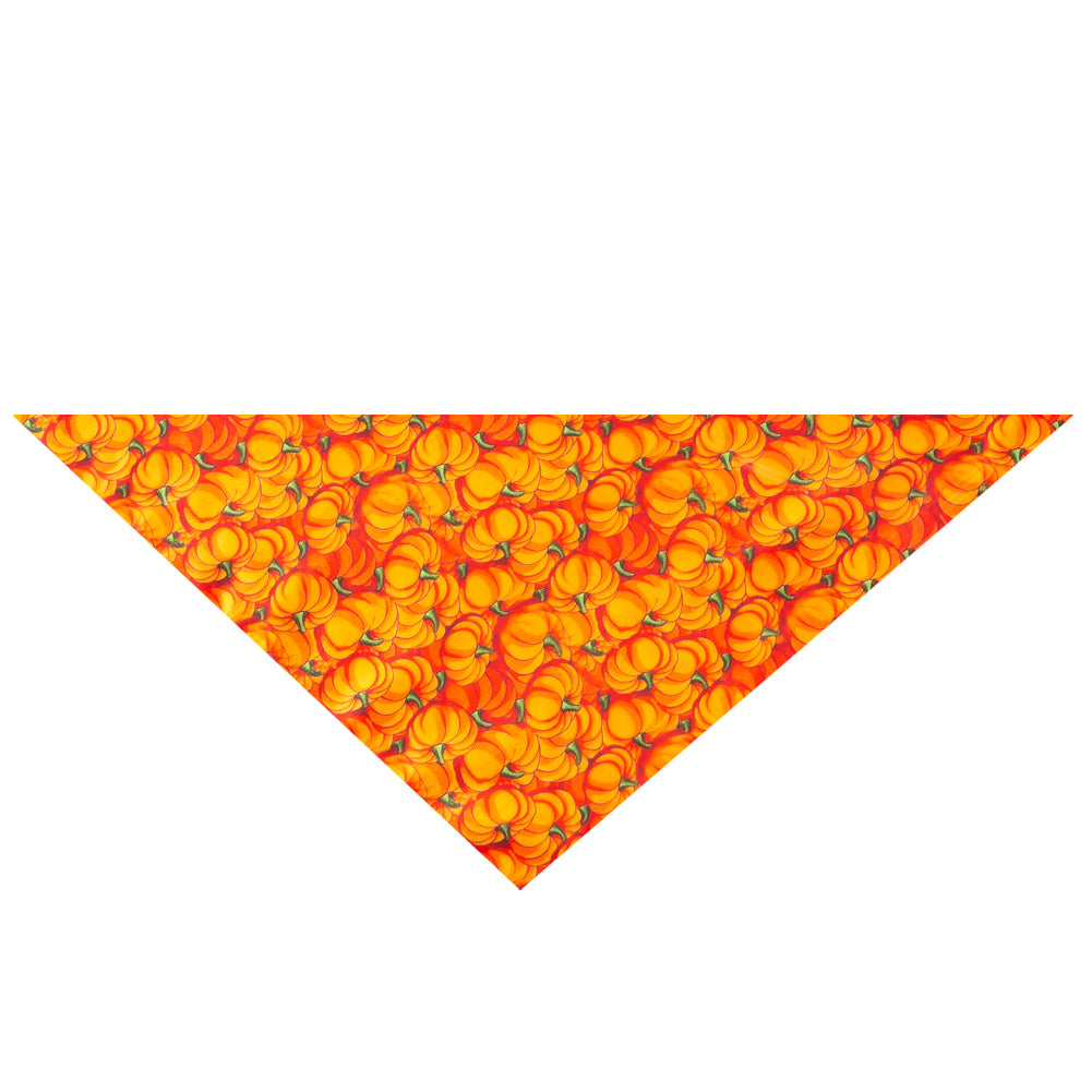 Halloween Bandana