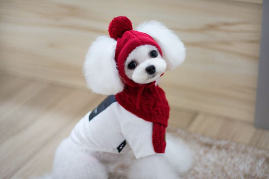 Holiday Hat and Scarf