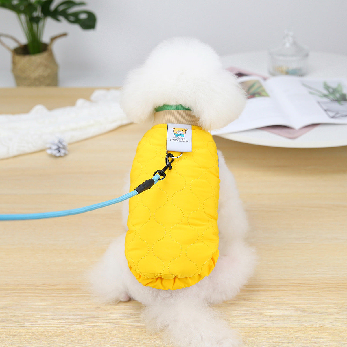 Mulit-color Velvet Vest