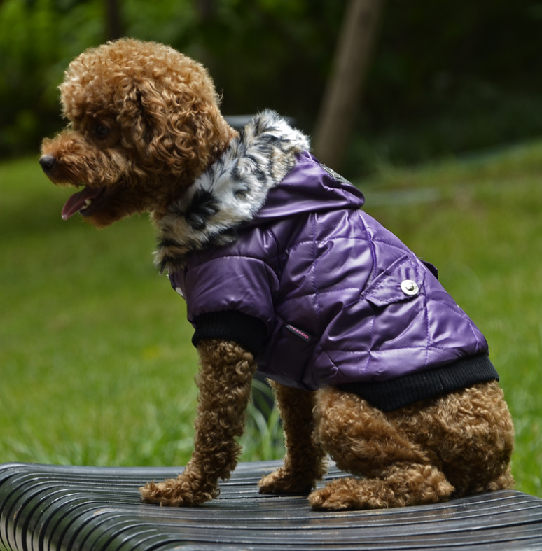 Light Warm  Sporty Jacket