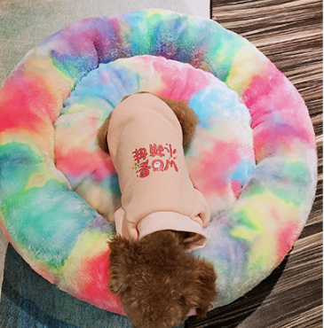 Rainbow Nest