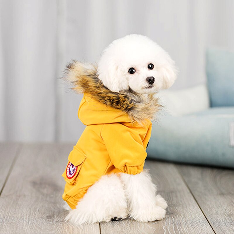 Fitted Jacket with fur hood (small pet)