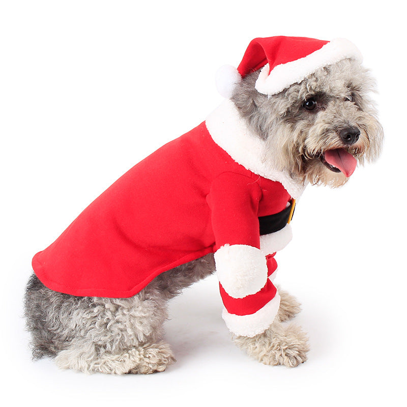 Christmas Costume