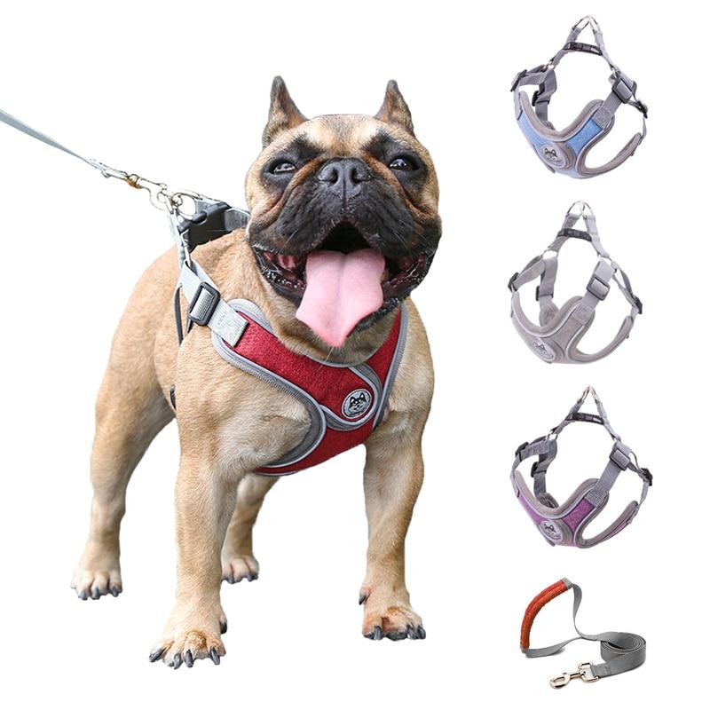 Durable dog harness