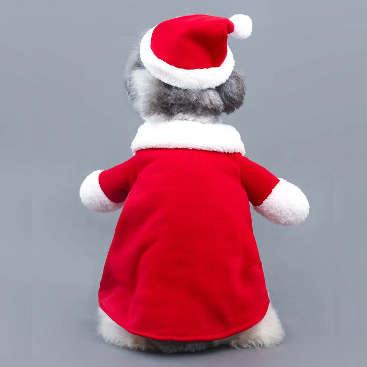 Christmas Costume