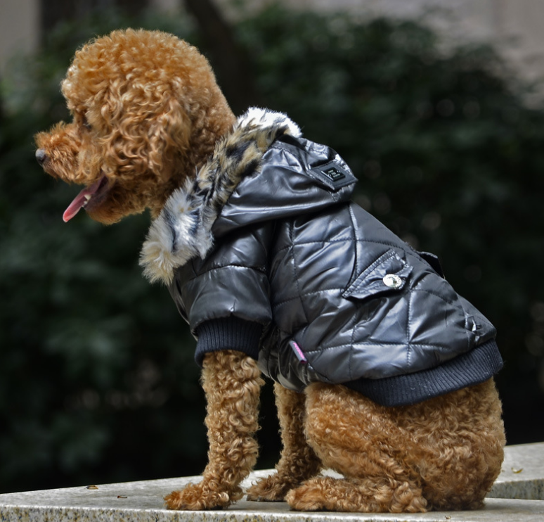 Light Warm  Sporty Jacket