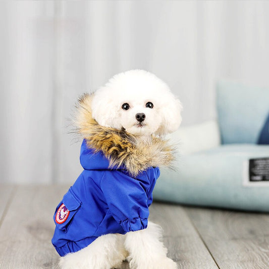 Fitted Jacket with fur hood (small pet)