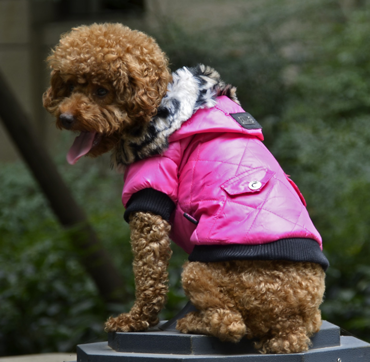 Light Warm  Sporty Jacket