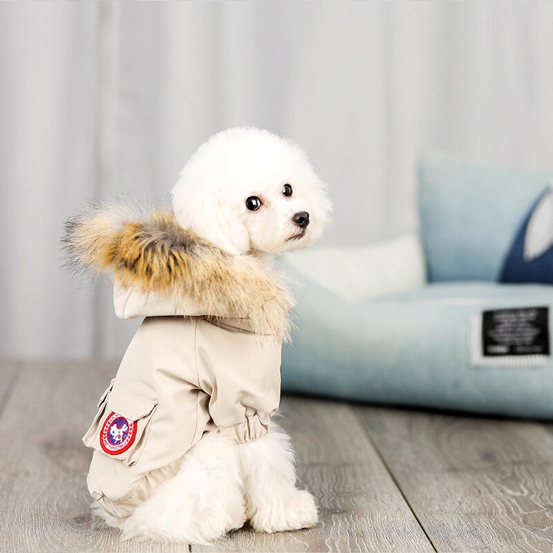 Fitted Jacket with fur hood (small pet)