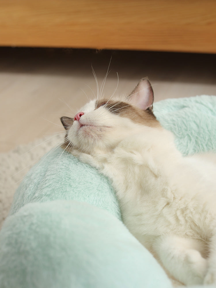 Cat/ Dog pet nest