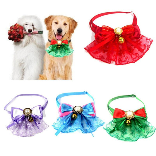 Fancy occasion collar