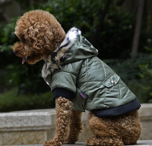 Light Warm  Sporty Jacket