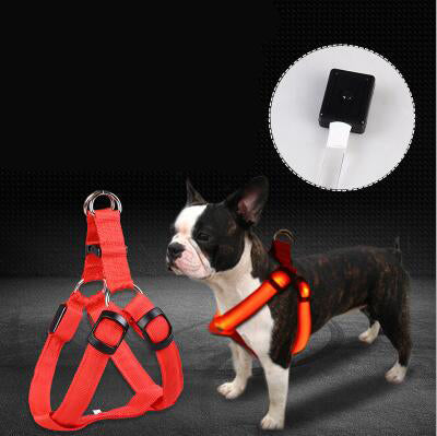 LED Luminous Chest Harness