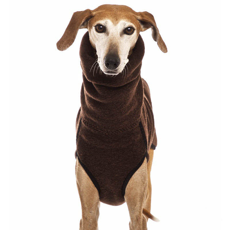 Dog Winter Sweater