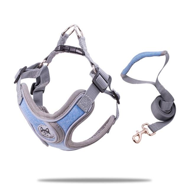Durable dog harness