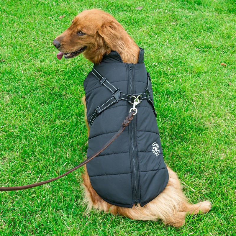 Sport Jacket