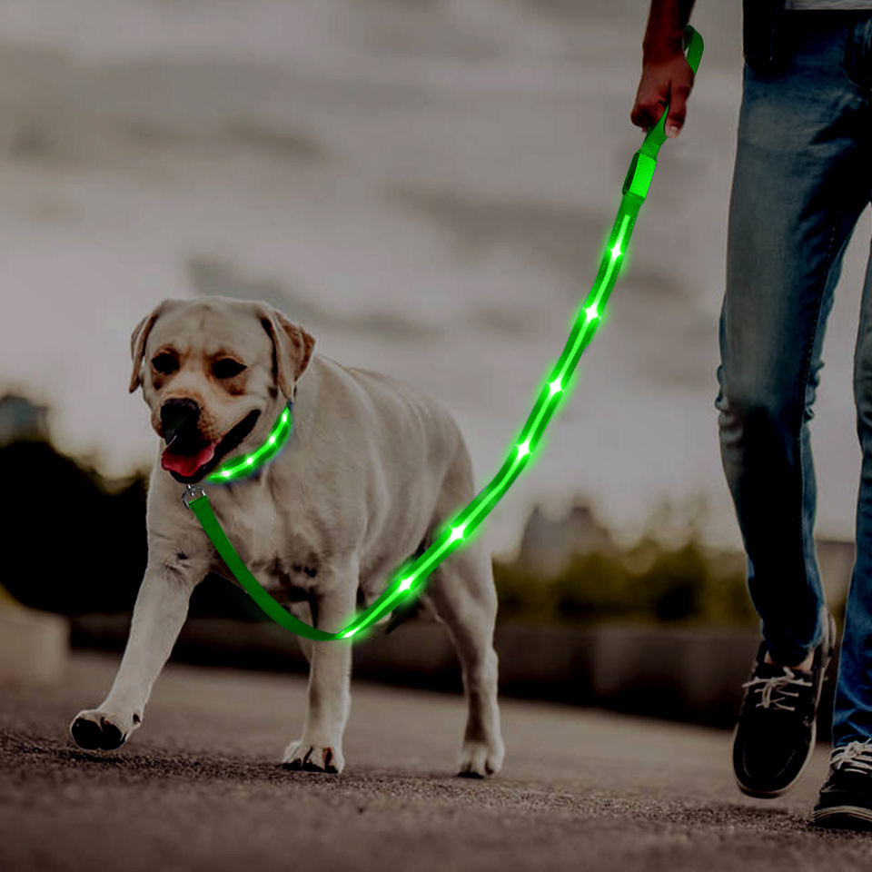 LED Leash and Collar