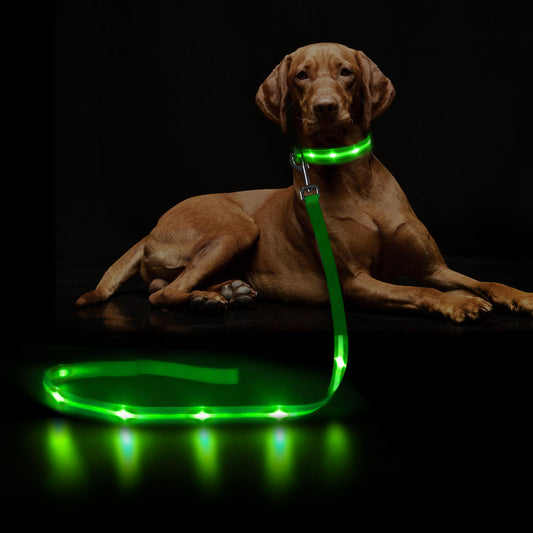 LED Leash and Collar