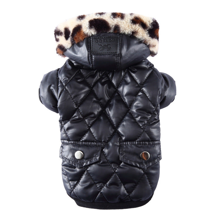 Light Warm  Sporty Jacket