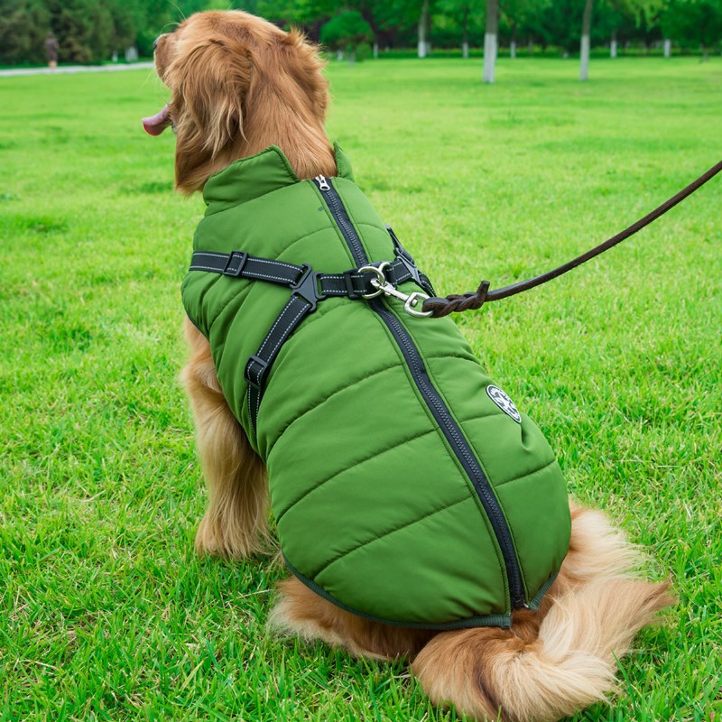Sport Jacket